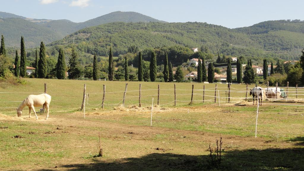 Agriturismo Cardito Santa Rufina Exterior foto