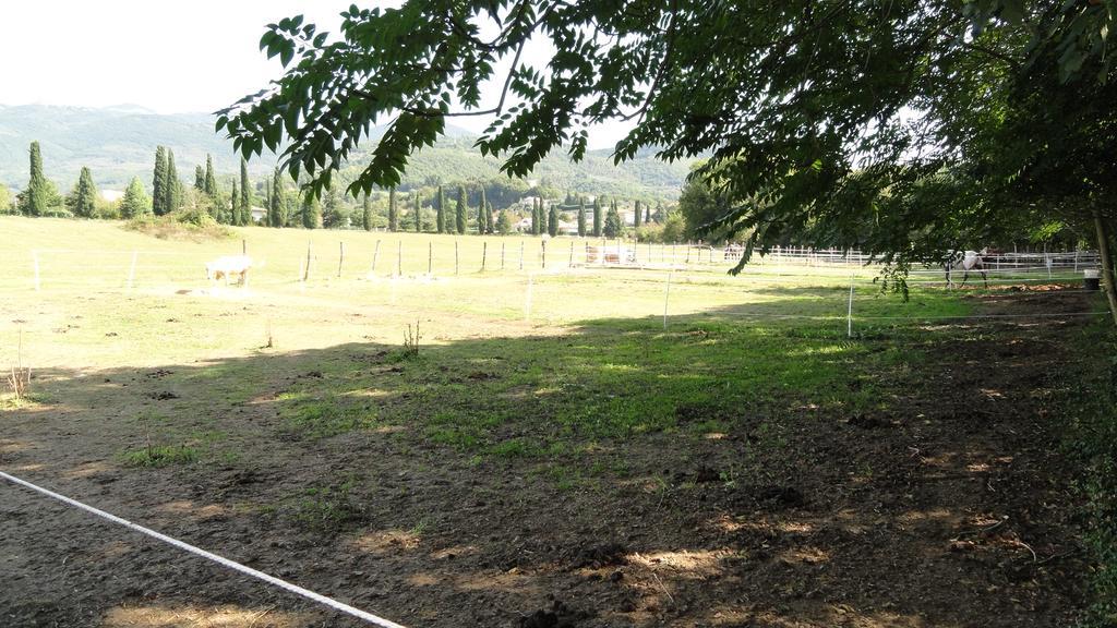 Agriturismo Cardito Santa Rufina Exterior foto